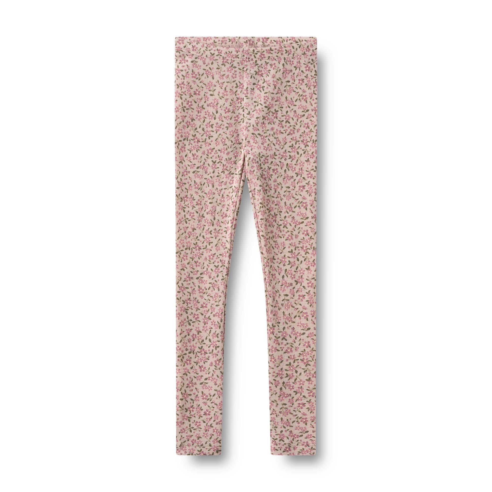 Afbeelding dia