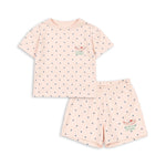 407e87fddf79518ceb2dccab92ca2e49