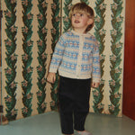 Afbeelding dia