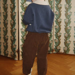 Afbeelding dia