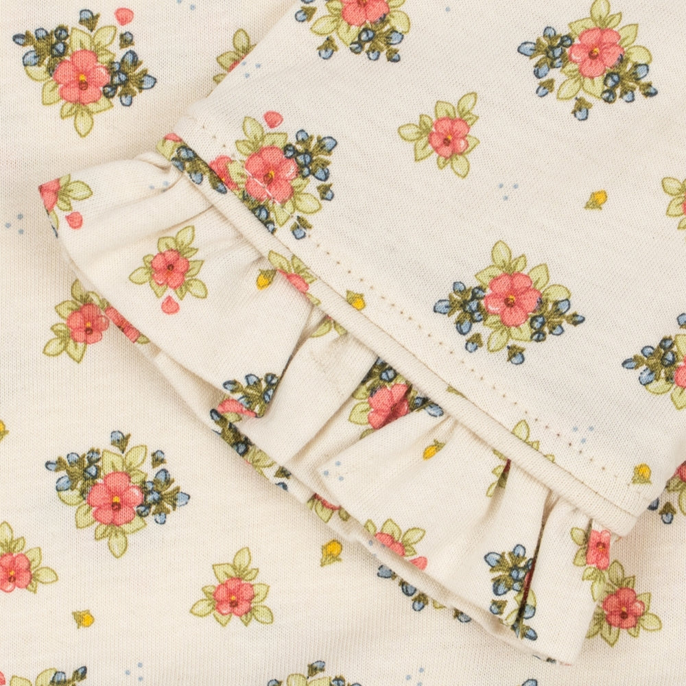 Afbeelding dia
