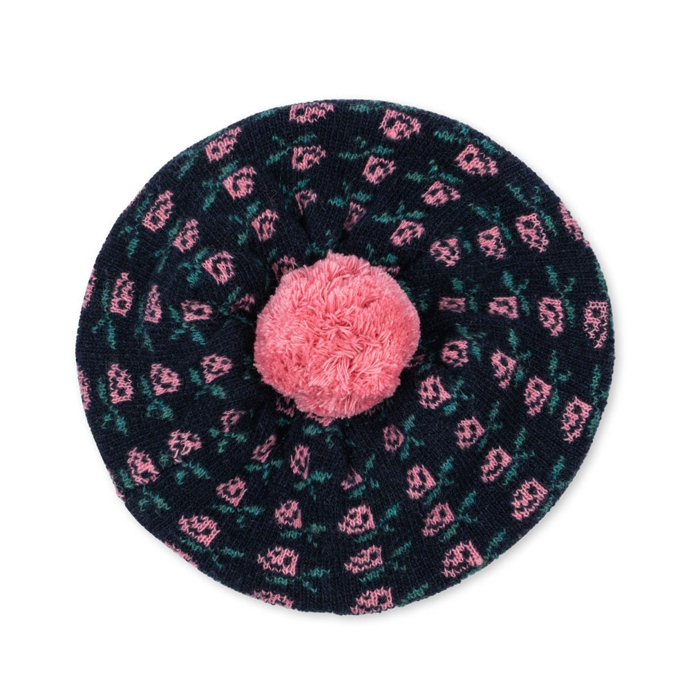 Afbeelding dia