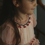 Afbeelding dia