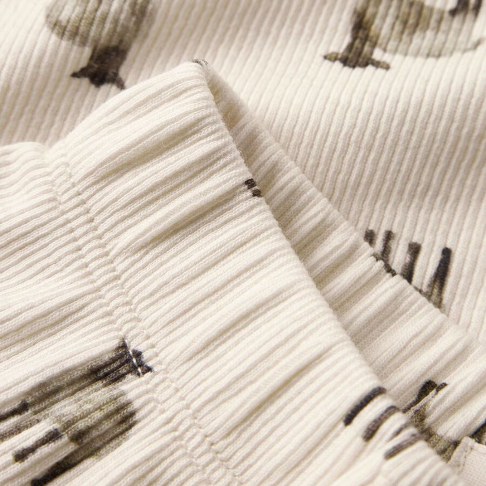 Afbeelding dia