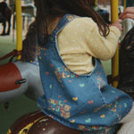 Afbeelding dia