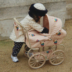 Afbeelding dia