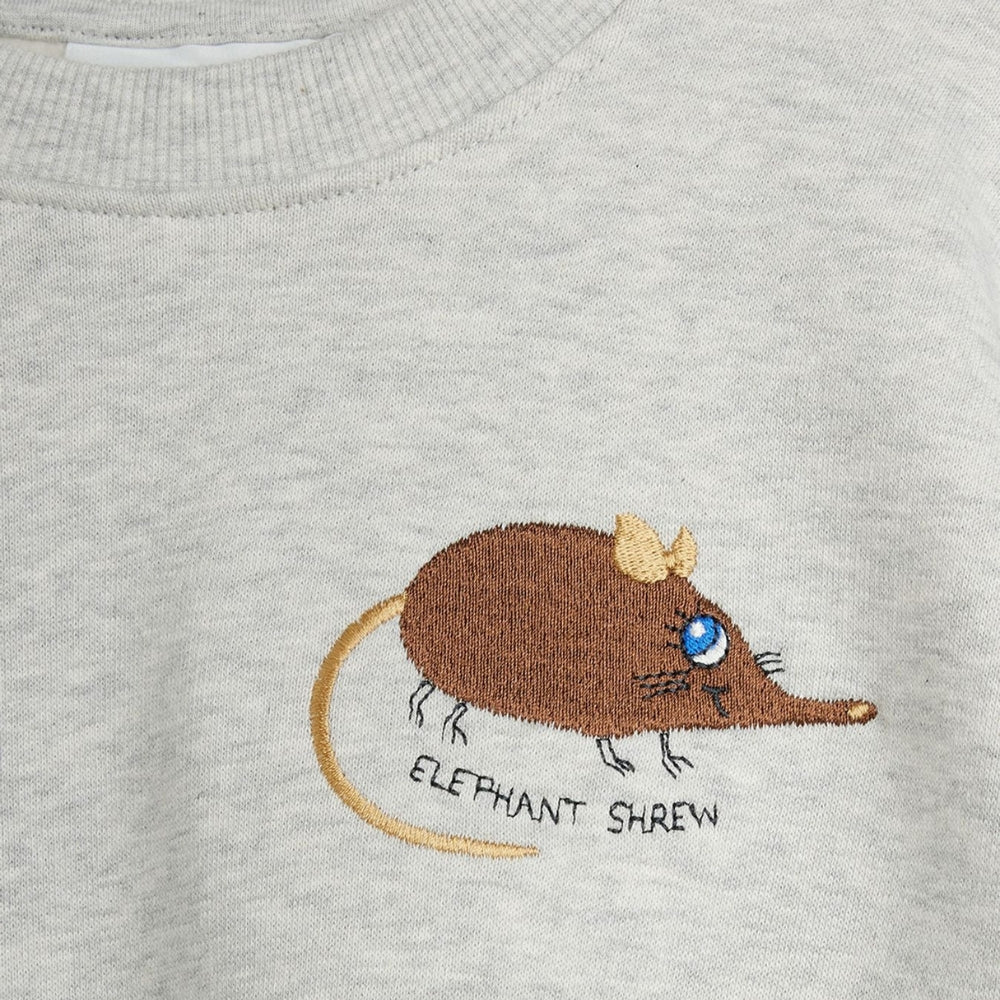 Afbeelding dia