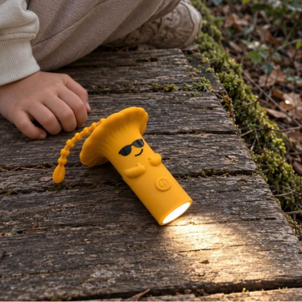 Afbeelding dia