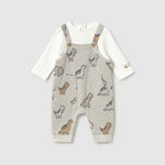 Afbeelding dia