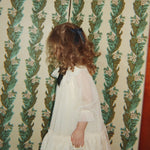 Afbeelding dia