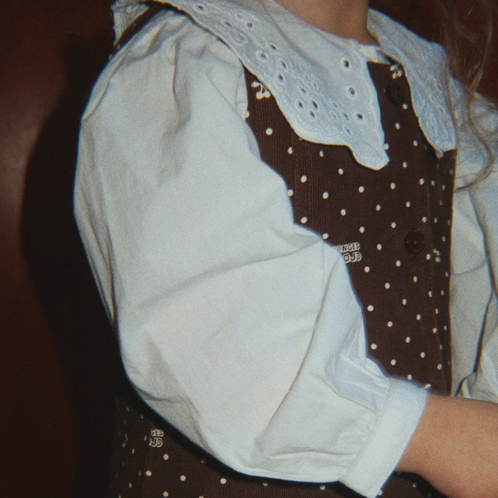 Afbeelding dia