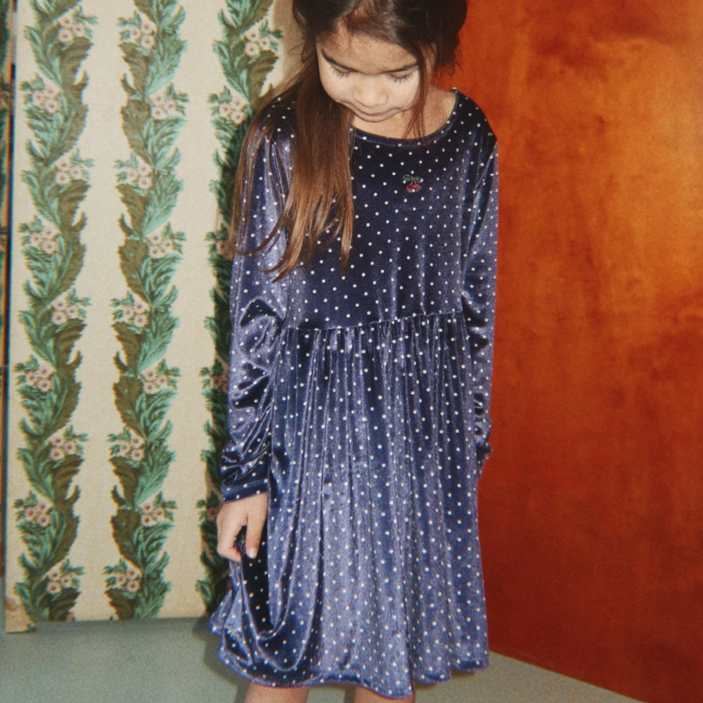 Afbeelding dia