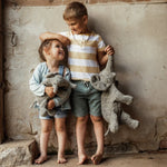 Afbeelding dia