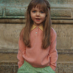 Afbeelding dia