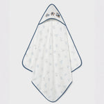 Afbeelding dia