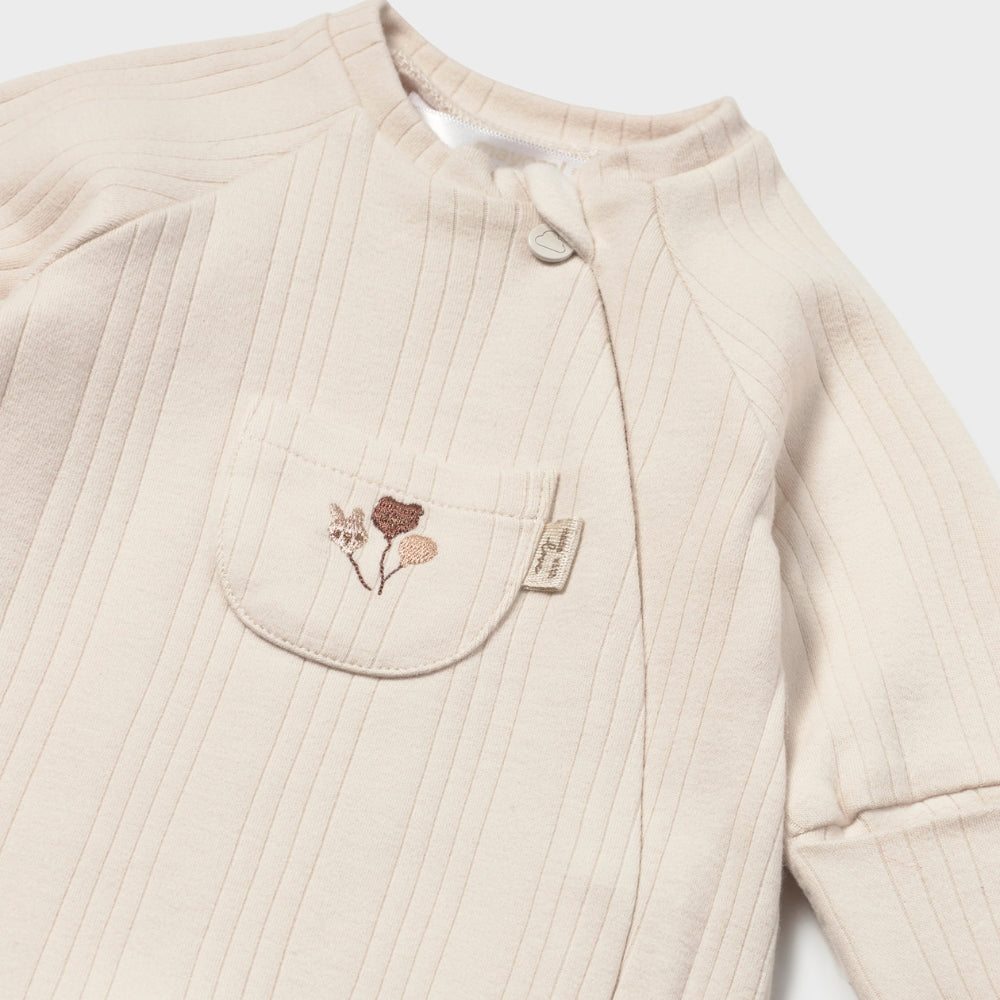 Afbeelding dia