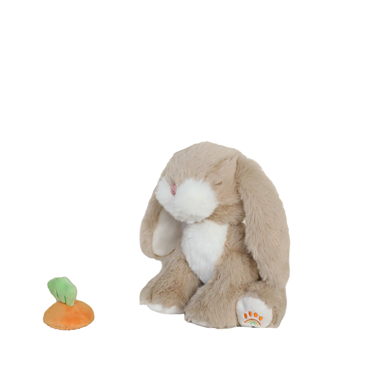 Afbeelding dia