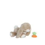 Afbeelding dia