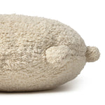 Afbeelding dia