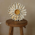 34fc3ee3a018fcddd29ba5dd80001ab0