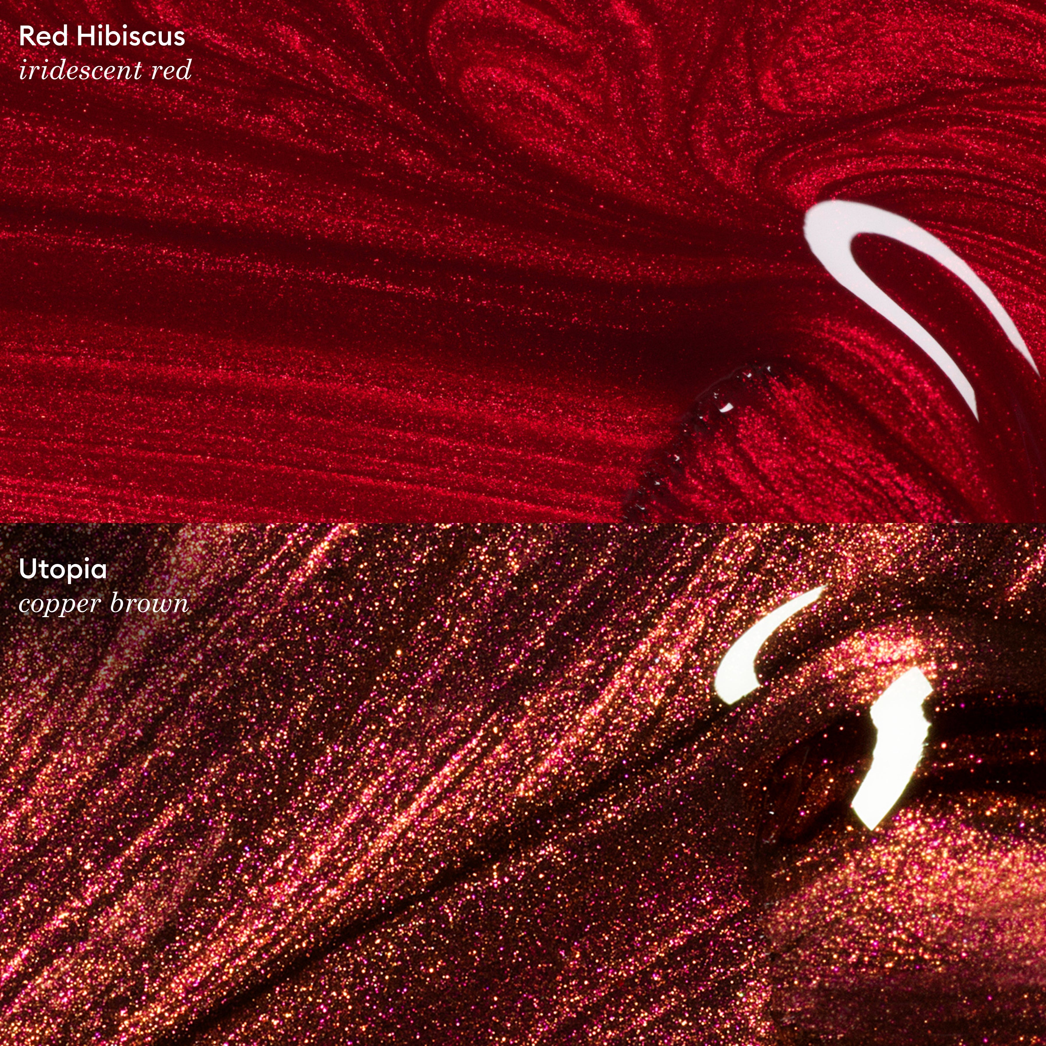 Afbeelding dia