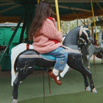 Afbeelding dia