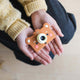The ZooFamily Baby Bear Camera