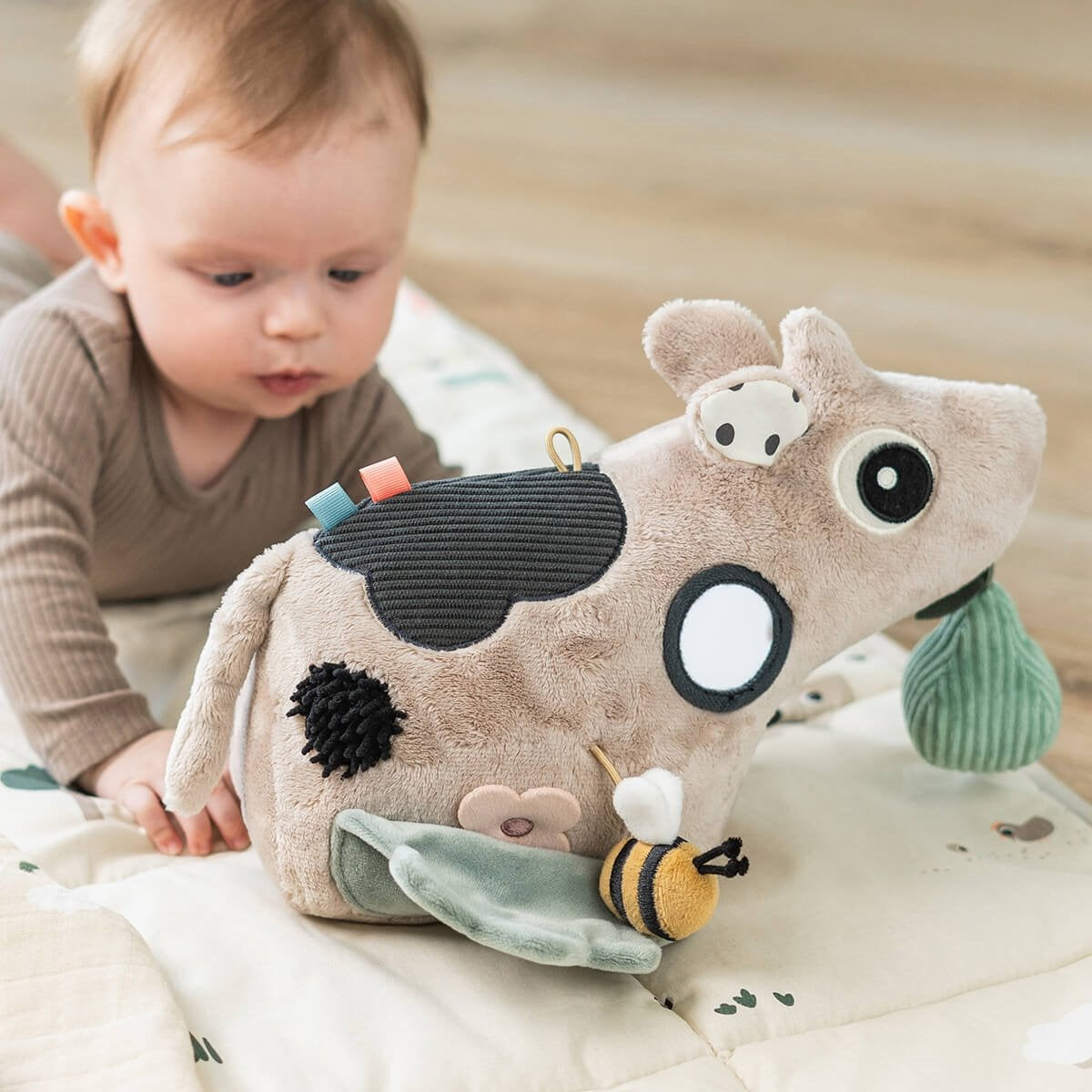 1cc69e928a7c861bfcf066e97dfc86fe