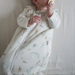 Afbeelding dia