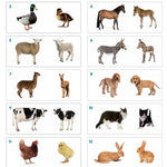 dca60b7c45cd8b465a941c75796eebd7