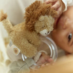 Afbeelding dia