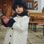 Afbeelding dia