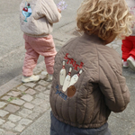 Afbeelding dia