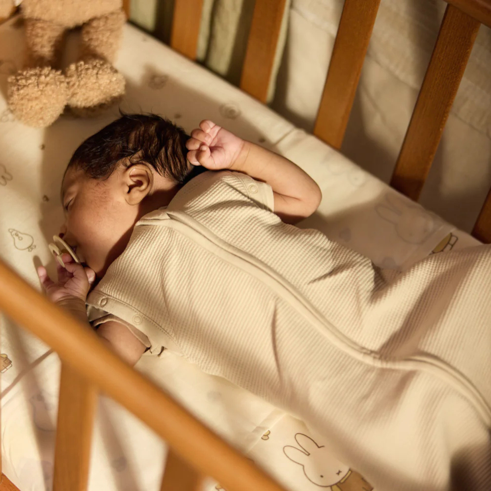 2a0bcf24703d5c2233757e4b5bbc4885