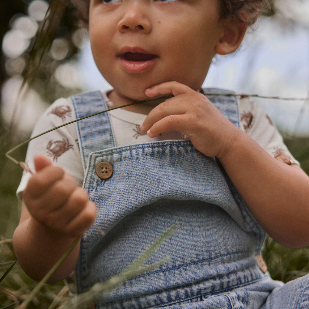 abbfadde5b34c785ee16f7dbb3526463