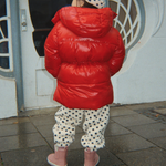 Afbeelding dia