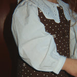 Afbeelding dia
