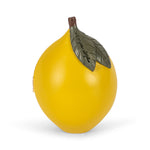 Afbeelding dia